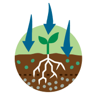 Icon: Carbon Sequestration.