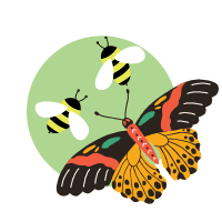 Icon: Bee and Butterfly Pollinators