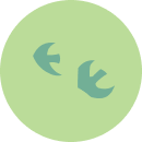 Birds in a green circle.