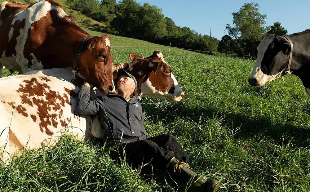 An Organic Valley farmer sitting in the pasture amongst some cows